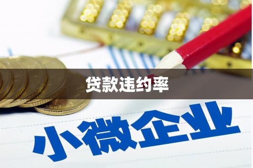广河贷款违约率