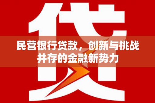 广河民营银行贷款，创新与挑战并存的金融新势力