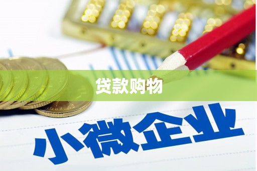 广河贷款购物