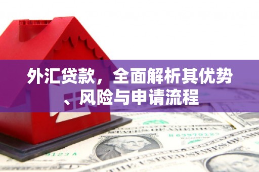 广河外汇贷款，全面解析其优势、风险与申请流程