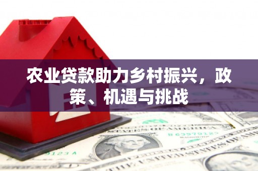 广河农业贷款助力乡村振兴，政策、机遇与挑战