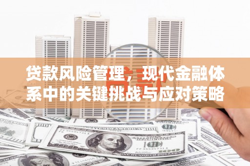 广河贷款风险管理，现代金融体系中的关键挑战与应对策略