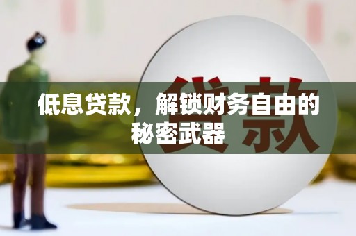 广河低息贷款，解锁财务自由的秘密武器
