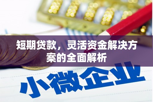 广河短期贷款，灵活资金解决方案的全面解析