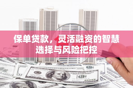 广河保单贷款，灵活融资的智慧选择与风险把控