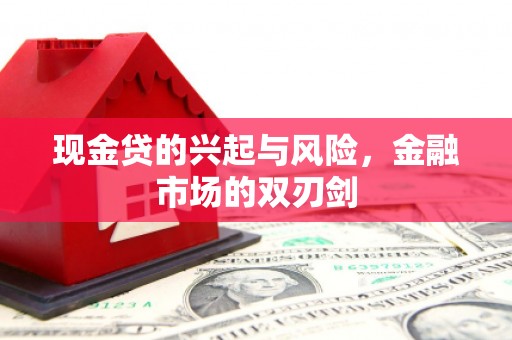 广河现金贷的兴起与风险，金融市场的双刃剑