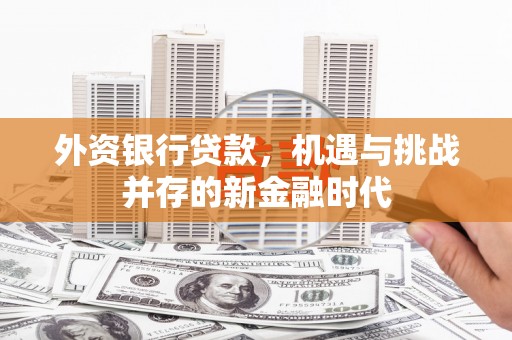 广河外资银行贷款，机遇与挑战并存的新金融时代