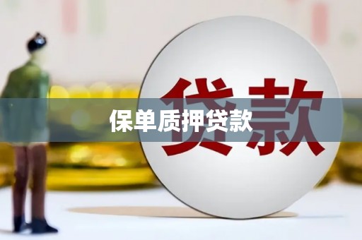 广河保单质押贷款