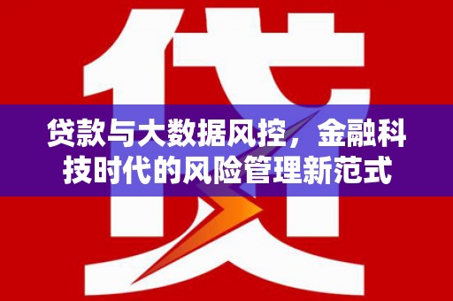 广河贷款与大数据风控，金融科技时代的风险管理新范式