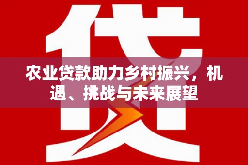 广河农业贷款助力乡村振兴，机遇、挑战与未来展望