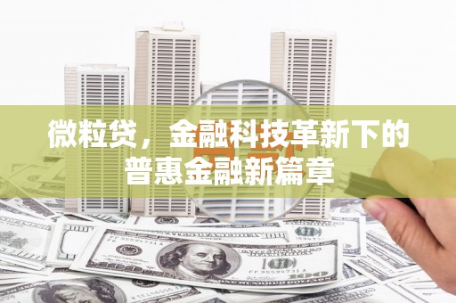 广河微粒贷，金融科技革新下的普惠金融新篇章