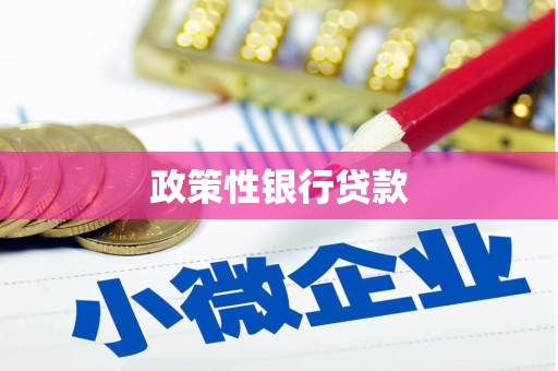广河政策性银行贷款