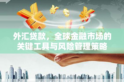 广河外汇贷款，全球金融市场的关键工具与风险管理策略