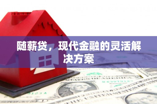 广河随薪贷，现代金融的灵活解决方案