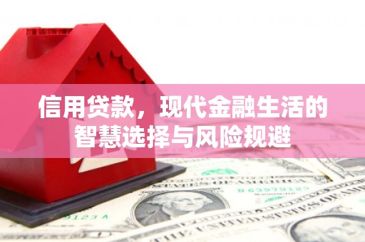 广河信用贷款，现代金融生活的智慧选择与风险规避