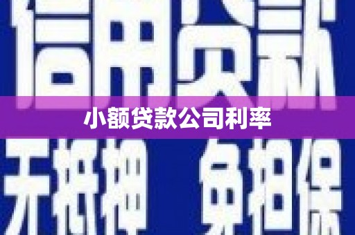 广河小额贷款公司利率