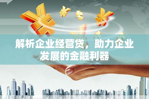 广河解析企业经营贷，助力企业发展的金融利器