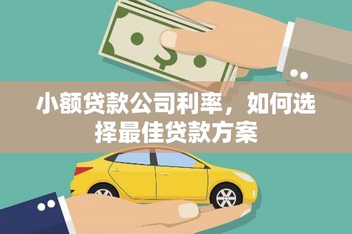 广河小额贷款公司利率，如何选择最佳贷款方案
