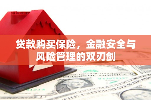 广河贷款购买保险，金融安全与风险管理的双刃剑
