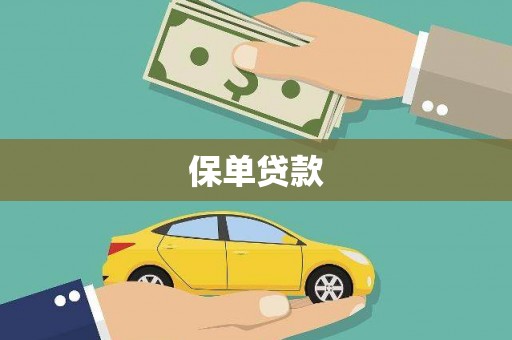 广河保单贷款