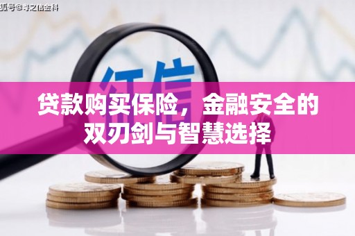 广河贷款购买保险，金融安全的双刃剑与智慧选择