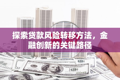 广河探索贷款风险转移方法，金融创新的关键路径