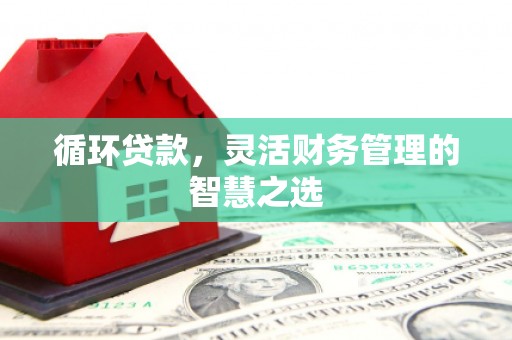 广河循环贷款，灵活财务管理的智慧之选