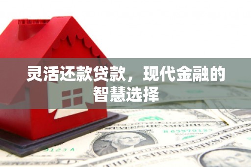 广河灵活还款贷款，现代金融的智慧选择