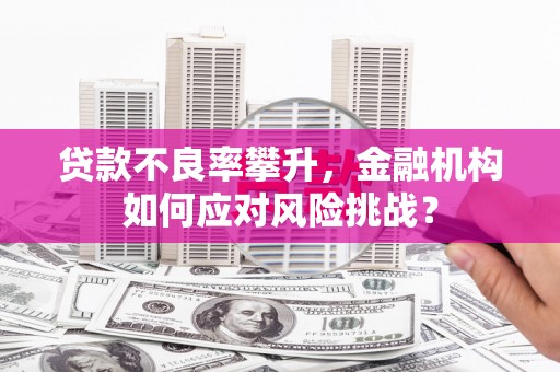 广河贷款不良率攀升，金融机构如何应对风险挑战？