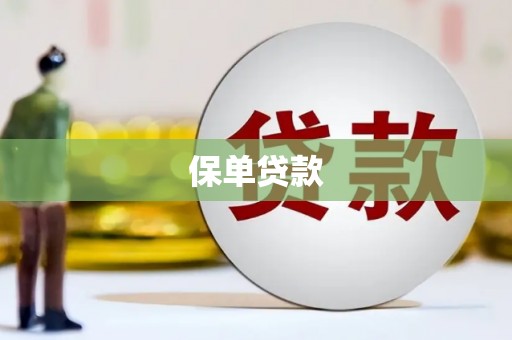 广河保单贷款