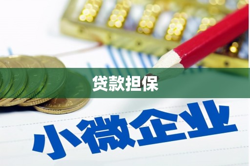 广河贷款担保
