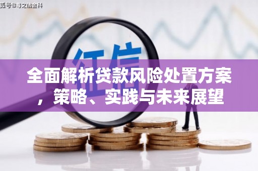 广河全面解析贷款风险处置方案，策略、实践与未来展望