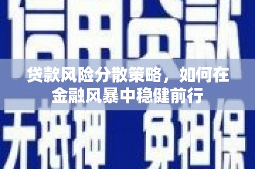 广河贷款风险分散策略，如何在金融风暴中稳健前行