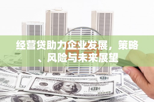 广河经营贷助力企业发展，策略、风险与未来展望