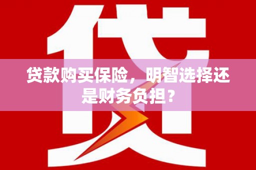 广河贷款购买保险，明智选择还是财务负担？