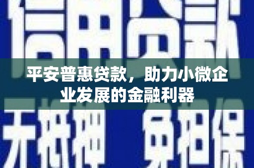 广河平安普惠贷款，助力小微企业发展的金融利器