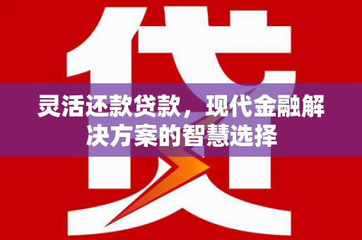 广河灵活还款贷款，现代金融解决方案的智慧选择