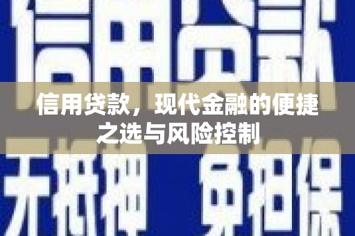 广河信用贷款，现代金融的便捷之选与风险控制