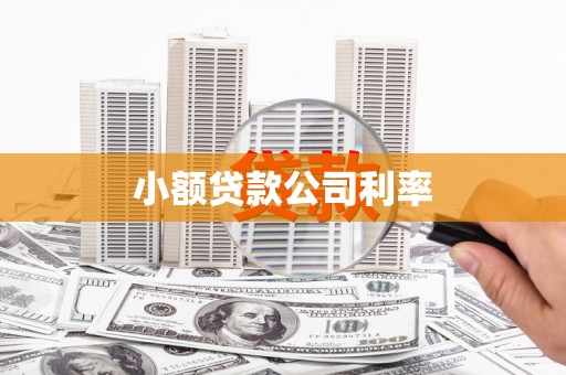 广河小额贷款公司利率