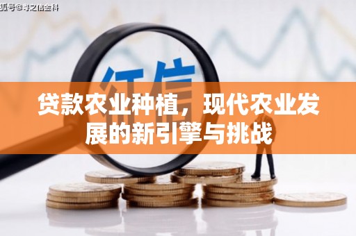 广河贷款农业种植，现代农业发展的新引擎与挑战