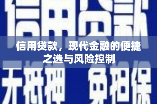 广河信用贷款，现代金融的便捷之选与风险控制