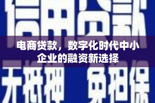 广河电商贷款，数字化时代中小企业的融资新选择