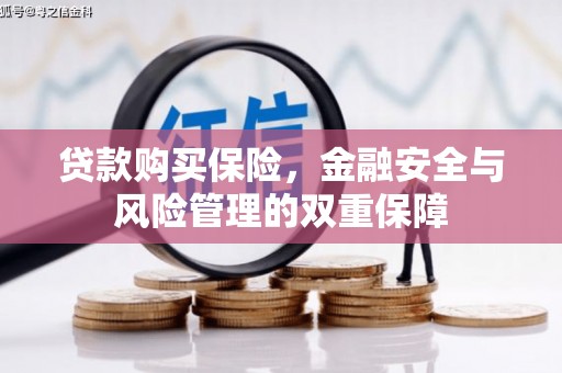 广河贷款购买保险，金融安全与风险管理的双重保障