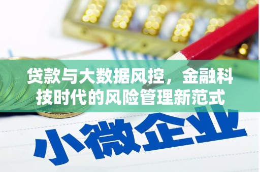 广河贷款与大数据风控，金融科技时代的风险管理新范式