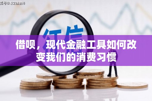 广河借呗，现代金融工具如何改变我们的消费习惯