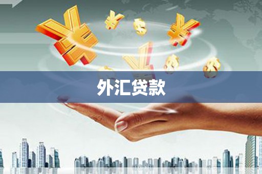 广河外汇贷款