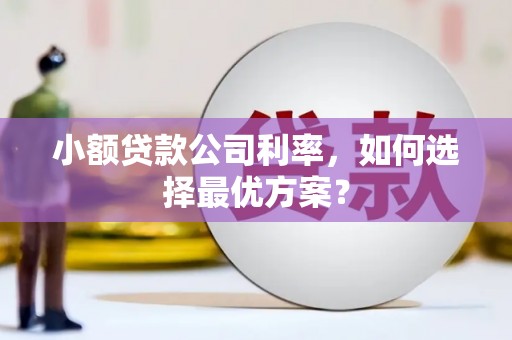 广河小额贷款公司利率，如何选择最优方案？