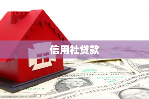 广河信用社贷款