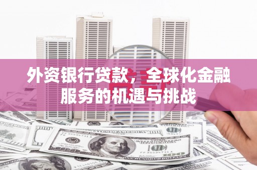 广河外资银行贷款，全球化金融服务的机遇与挑战