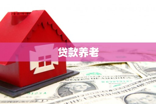 广河贷款养老